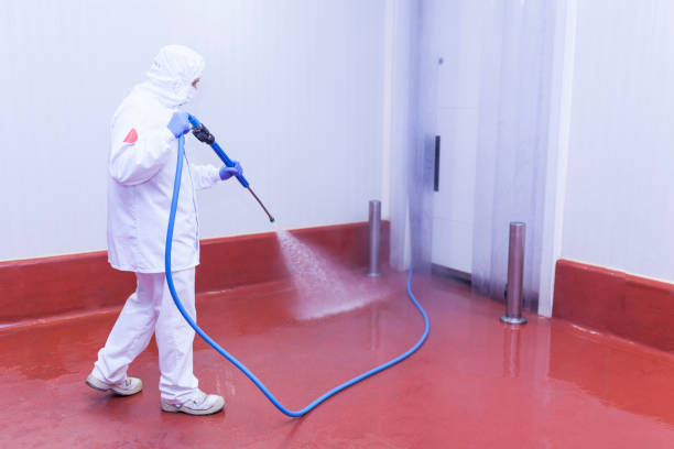 Best Driveway Pressure Washing  in Watkinsville, GA